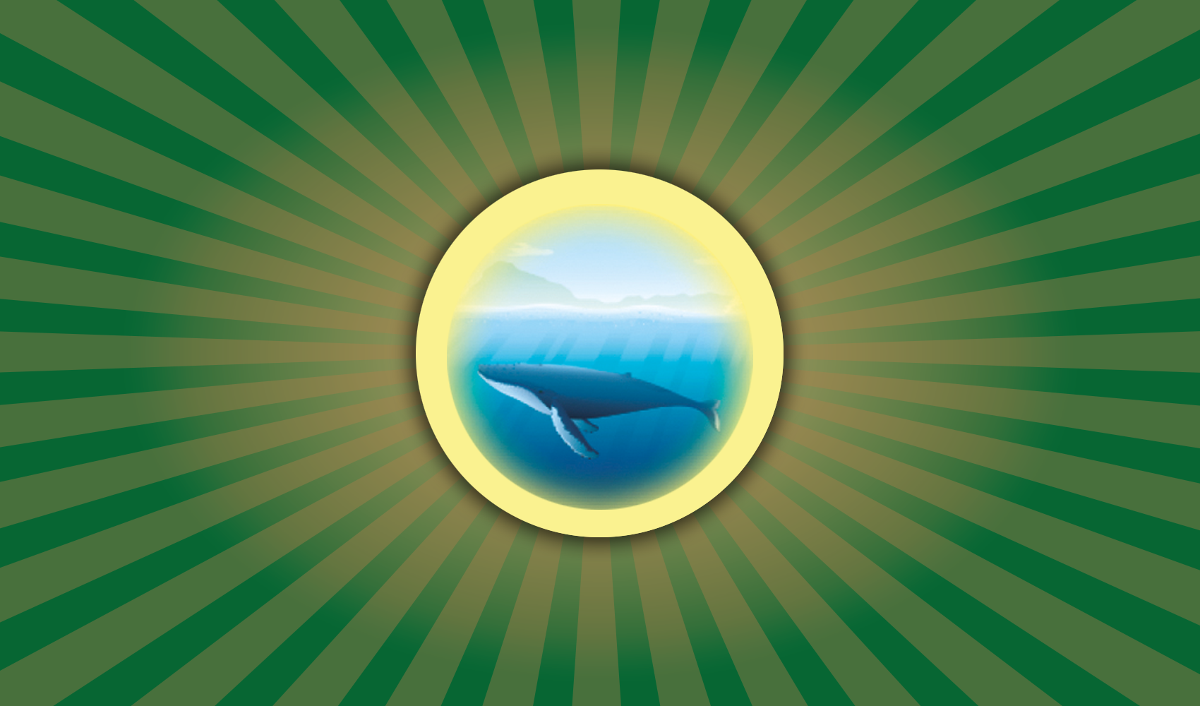 010 Yunus Publications